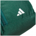 Adidas超輕防水鞋袋(綠)#3193