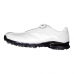 Adidas Adipure Ray Boa 男鞋 (白, 有釘) #Q44859
